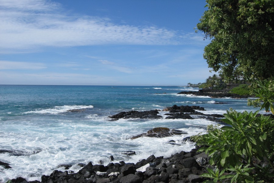 ../image/kona shoreline 2.jpg